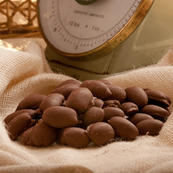 premium milk chocolate pecans on burlap