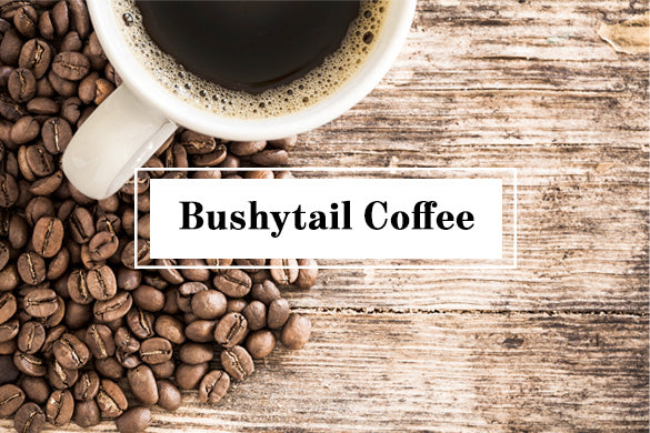 Overhead image of coffee in mug and coffee beans on table with text "Bushytail Coffee"